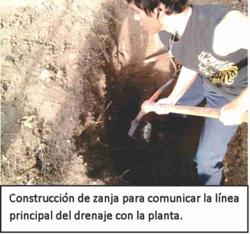 Sin Nombre