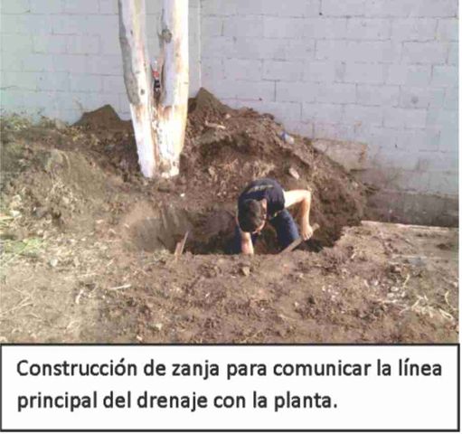 Sin Nombre